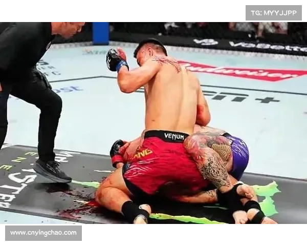 安卡拉耶夫摔跤控制致胜,一致判定击败佩雷拉夺轻重量级金腰带